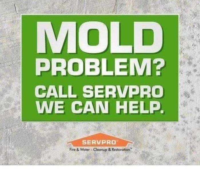 mold 